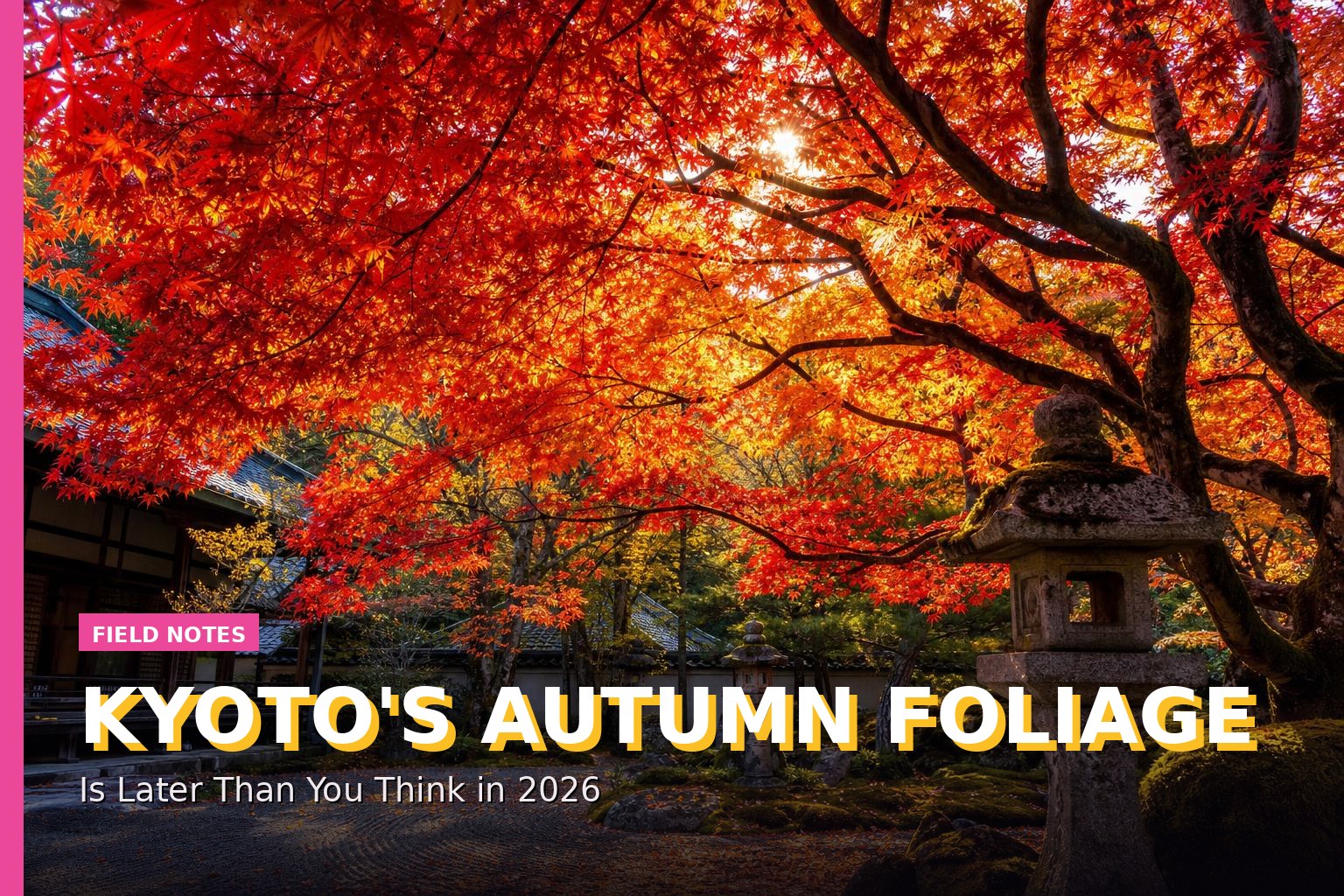 Kyoto's Autumn Foliage Is Later Than You Think in 2026