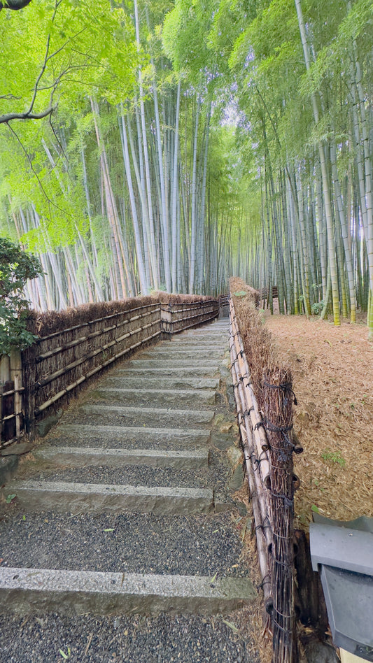 Why Arashiyama is Kyoto’s Hidden Gem